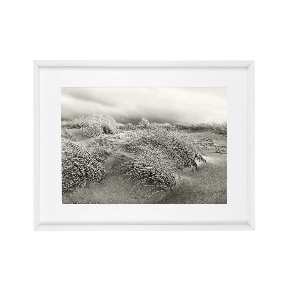 60620 - Image 2