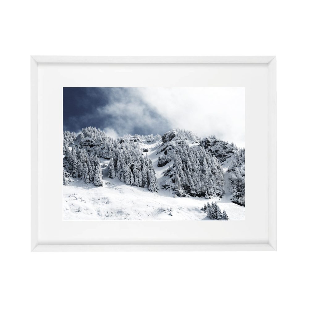 8010 - Image 2