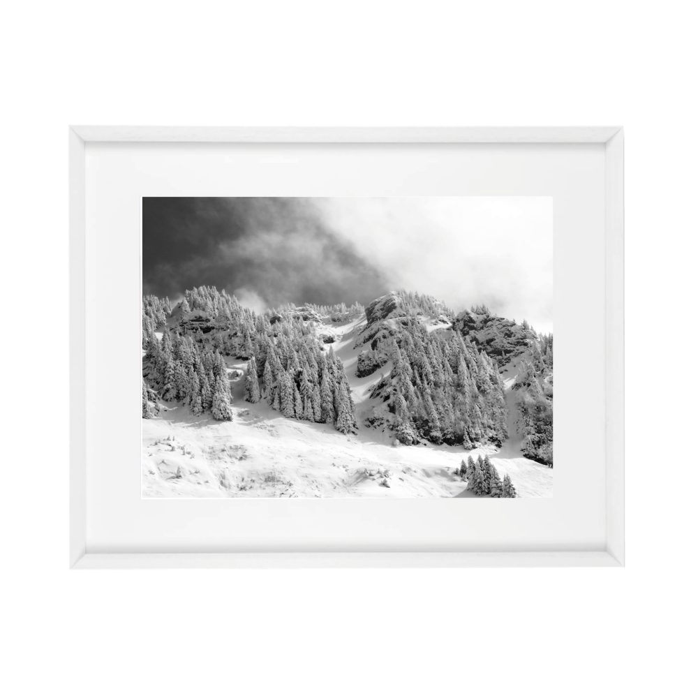 8004 - Image 2