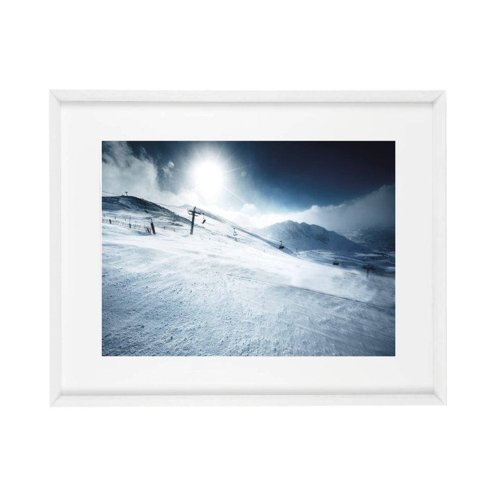 8009 - Image 2