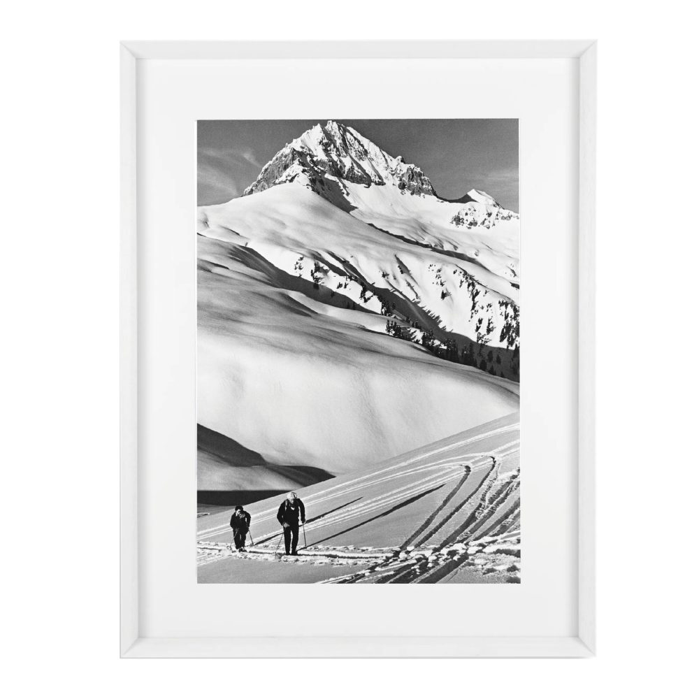 8003 - Image 2